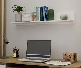 Nástěnná police MILO 99 cm matná bílá