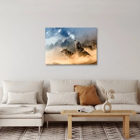 Obraz - vlci vyjúci na mesiac (70x50 cm)