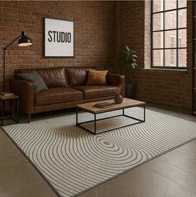 TZ Sivý obdĺžnikový pruhovaný koberec Strado Polo Cloud vzor zebra Rozmer: 120x170 cm