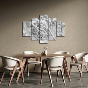 Obraz - Zasnežené vetvy (150x105 cm)