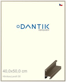 DANTIK rám na obraz 40x50 | ALU champagne (Plexi Čiré)