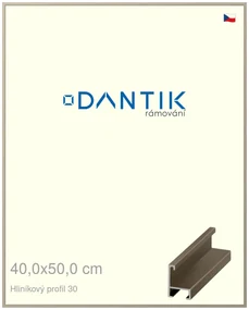 DANTIK rám na obraz 40x50 | ALU champagne (Plexi Čiré)