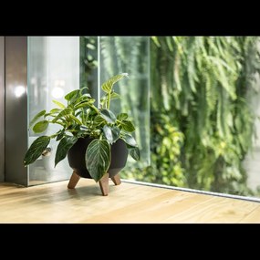 MISA ROMA 240 MM – ČIERNA*7970*