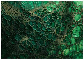Obraz - Zelený mikroskopický záber (70x50 cm)