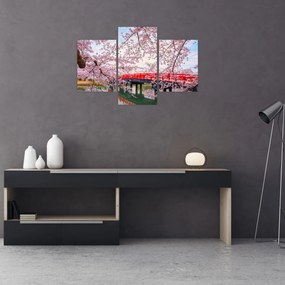 Obraz - Hirosaki, Japonsko (90x60 cm)