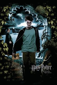 Umelecká tlač Harry Potter - Harry, (26.7 x 40 cm)