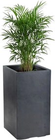 Sada 2 ks květináčů BETONIQUE 30x30/30x60 cm - výber z 4 prevedení