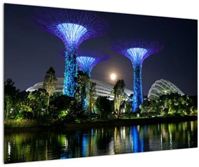 Obraz splnu v Singapurských záhradách (90x60 cm)