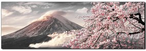 Obraz na plátne - Hora Fuji a čerešňové kvety na jar - panoráma 5266QA (105x35 cm)