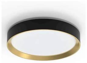 Philips - LED Stmievateľné stropné svietidlo HANNO LED/24W/230V 2700K čierna