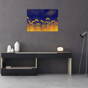 Sklenený obraz - Púpavy (70x50 cm)