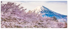 Obraz - Japonsko na jar (120x50 cm)