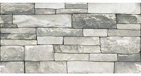 Fasádny kameň Roma Grey Rekt. 30/60