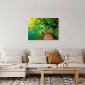 Sklenený obraz - Plitvické jazerá (70x50 cm)