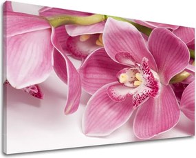 Obraz na stenu KVETY KV034E11 - 30x40 cm