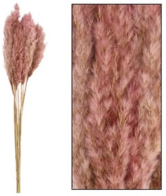 Umelá tráva Plume 80-90 cm