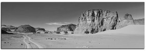 Obraz na plátne - Cesta v púšti - panoráma 5129QA (120x45 cm)
