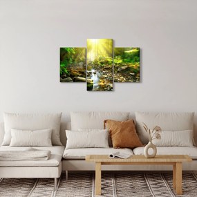 Obraz rieky v zelenom lese (90x60 cm)