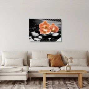 Sklenený obraz - Oranžové orchidey (70x50 cm)