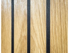 Botník Mablo F (antracit + dub artisan + čierna). Vlastná spoľahlivá doprava až k Vám domov. 1097705