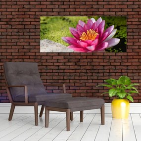 Obraz - Lekno (120x50 cm)