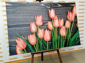 Obraz očarujúce oranžové tulipány na drevenom podklade