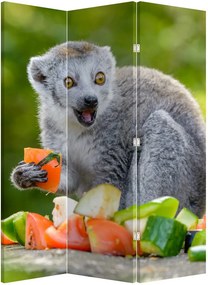 Paraván - Lemur (126x170 cm)