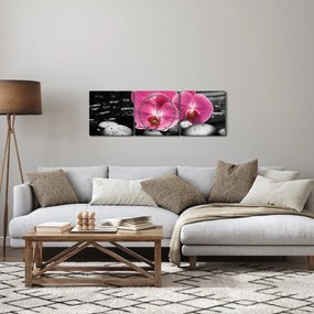 Obraz - Ružové orchidey (s hodinami) (90x30 cm)