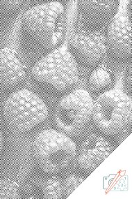 Gario Bodkovanie Šťavnaté maliny Rozmery: 40 x 60 cm, Rámovanie: Iba zrolované plátno, Farba bodiek: Červená