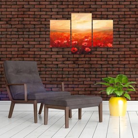 Obraz - Pole vlčích makov (90x60 cm)