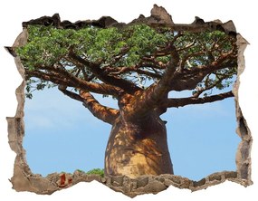 Samolepící díra na stěnu nálepka Baobab nd-k-61073116