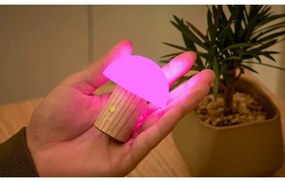 LED stolová lampa z jaseňového dreva so stmievačom v prírodnej farbe (výška 7 cm) Alice – Gingko