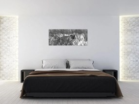 Obraz - Líška v zime (120x50 cm)