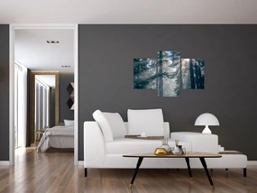 Obraz stromov s presvitajúcim slnkom (90x60 cm)
