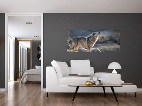 Obraz - Vyjúci vlk (120x50 cm)