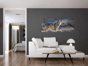 Obraz - Vyjúci vlk (120x50 cm)