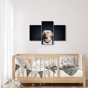Obraz labradora (90x60 cm)