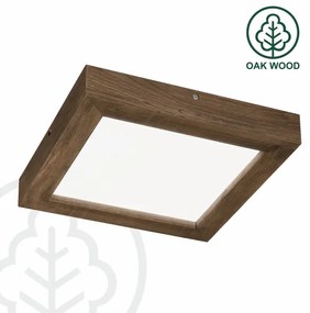 Brilagi-LED Stmievateľné svietidlo WOODY FRAME LED/24W/230V dub 30x30 cm IP44 + DO