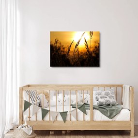 Sklenený obraz zapadajúceho slnka (70x50 cm)