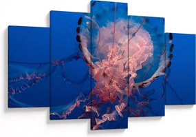 Obraz medúzy (150x105 cm)