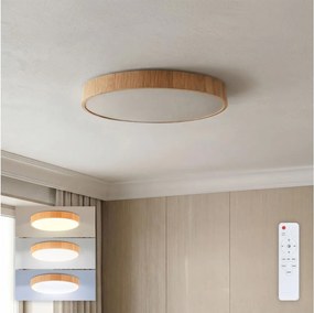 Brilagi - stmievateľné LED stropné svietidlo POOL LED/50W/230V pr. 40 cm, dekor dreva + diaľkový ovládač