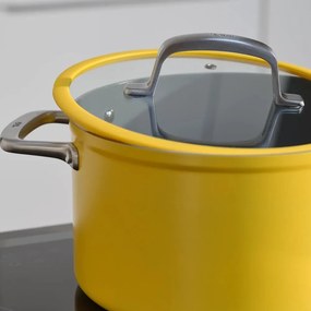 Hrniec s pokrievkou/s keramickým povrchom na indukčný varič 5,5 l Meda 3.0 – FABINI