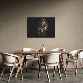 Obraz sovy (70x50 cm)