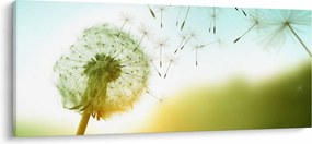 Obraz - Púpava vo vetre (120x50 cm)