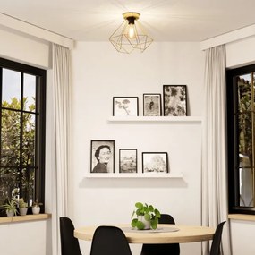 Eglo 43678 - Stropné svietidlo TARBES 1xE27/60W/230V