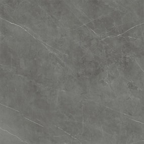 Dlažba Tessino Grey Natural 120x120 R
