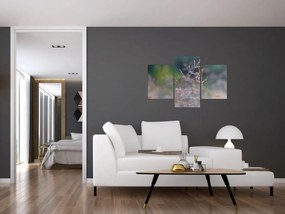 Obraz - Detail traviny (90x60 cm)