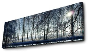 Maľba s LED osvetlením ZIMNÁ KRAJINA 37 30 x 90 cm