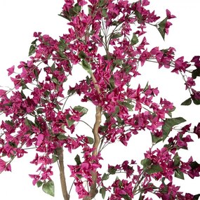 Stromček s ružovými kvetmi Bougainvillea Tree - 80*80*180 cm