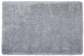 Koberec 200 x 300 cm sivý CIDE Beliani
